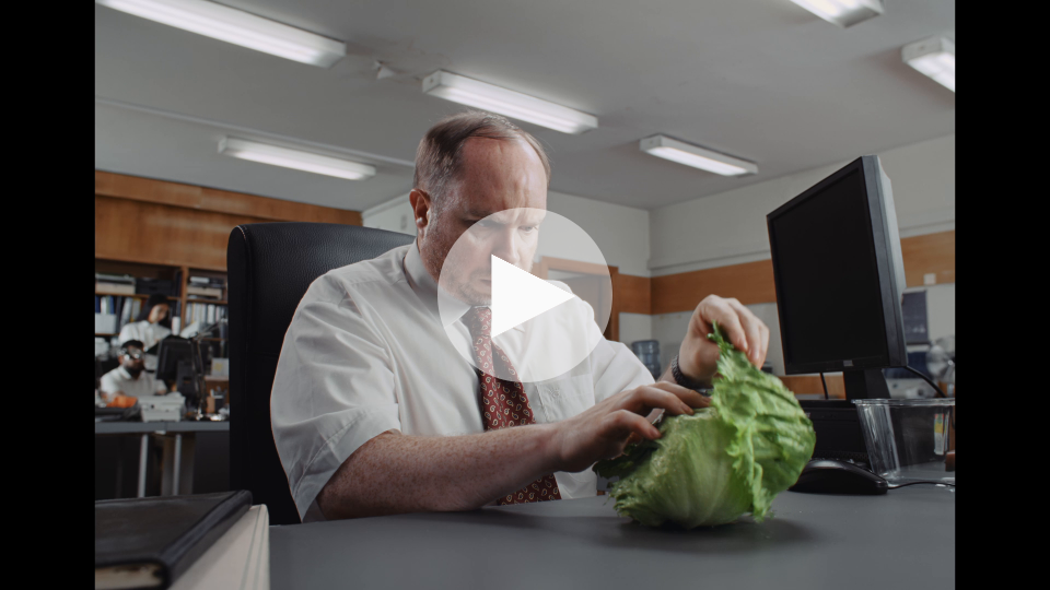 Dranbleiben lohnt sich - Salat